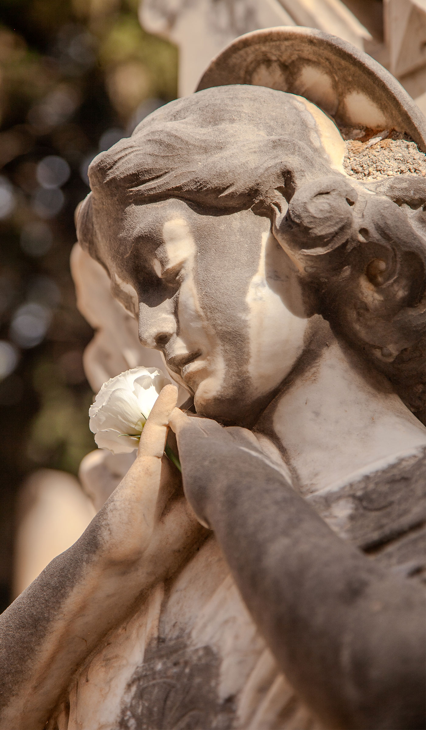 Fondazione Camposanto di Santo Spirito Palermo